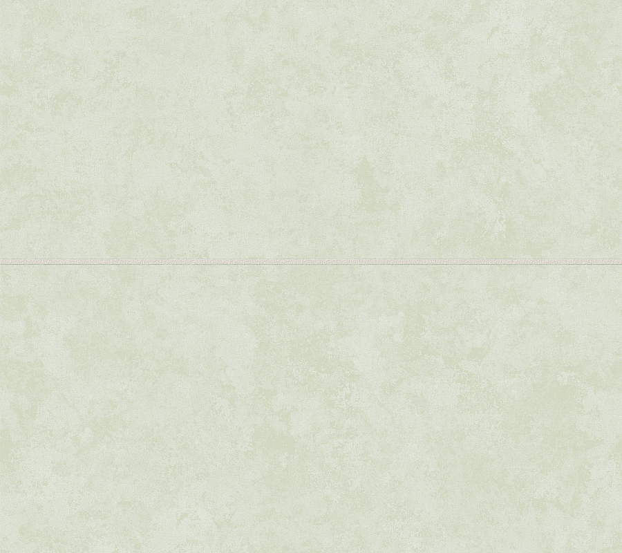 EQUATOR LINES
