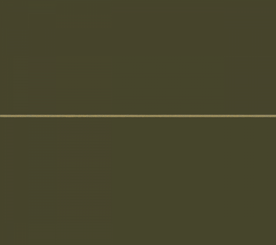 EQUATOR LINES